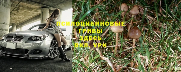 гашик Зеленодольск