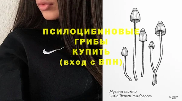 гашик Зеленодольск