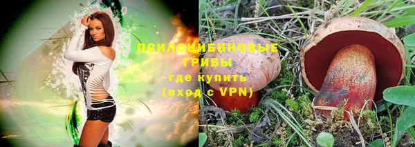 гашик Зеленодольск